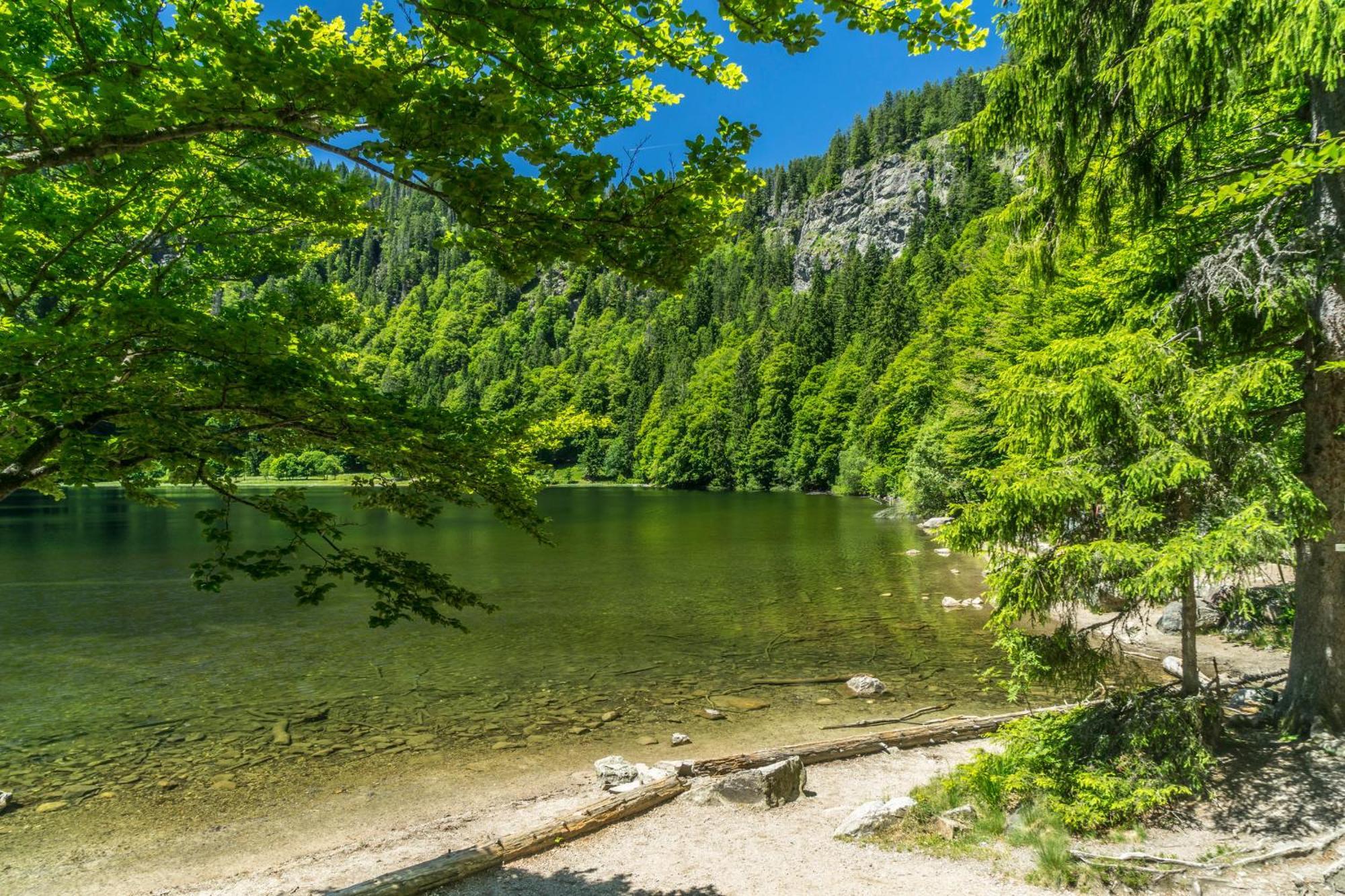 Drei Tannen - Wohnung 07 - Apartmenthaus, Titisee, Feldberg Dış mekan fotoğraf