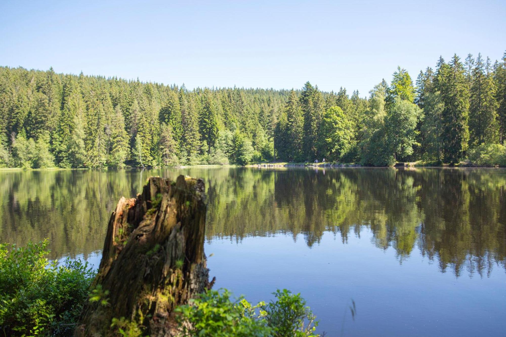 Drei Tannen - Wohnung 07 - Apartmenthaus, Titisee, Feldberg Dış mekan fotoğraf