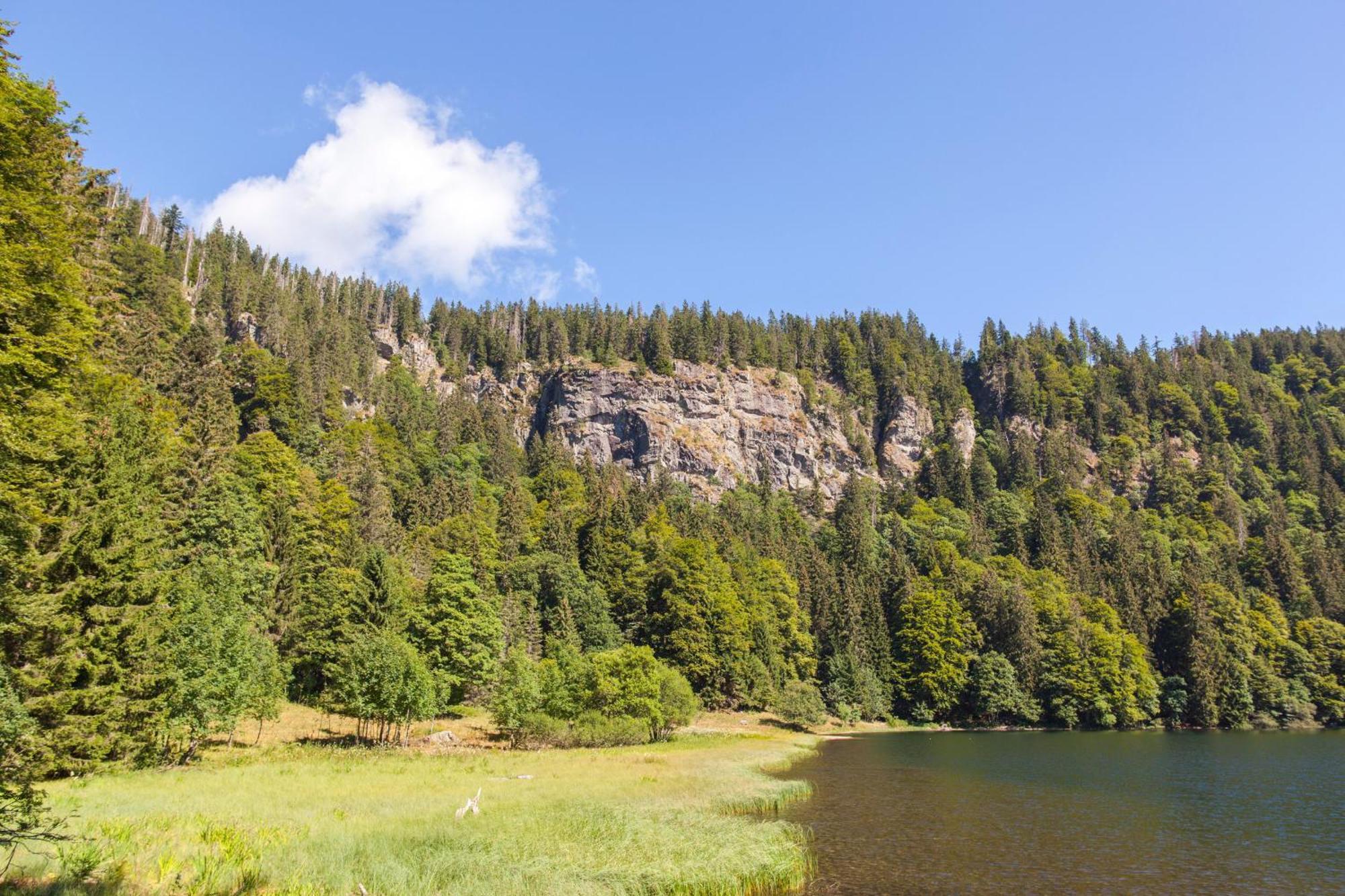 Drei Tannen - Wohnung 07 - Apartmenthaus, Titisee, Feldberg Dış mekan fotoğraf