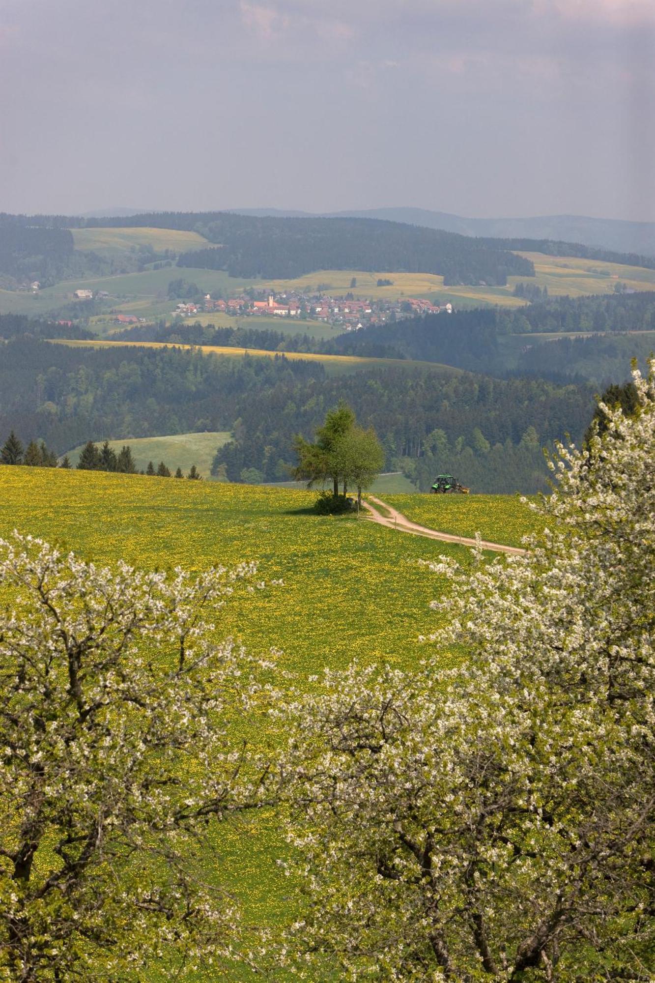 Drei Tannen - Wohnung 07 - Apartmenthaus, Titisee, Feldberg Dış mekan fotoğraf