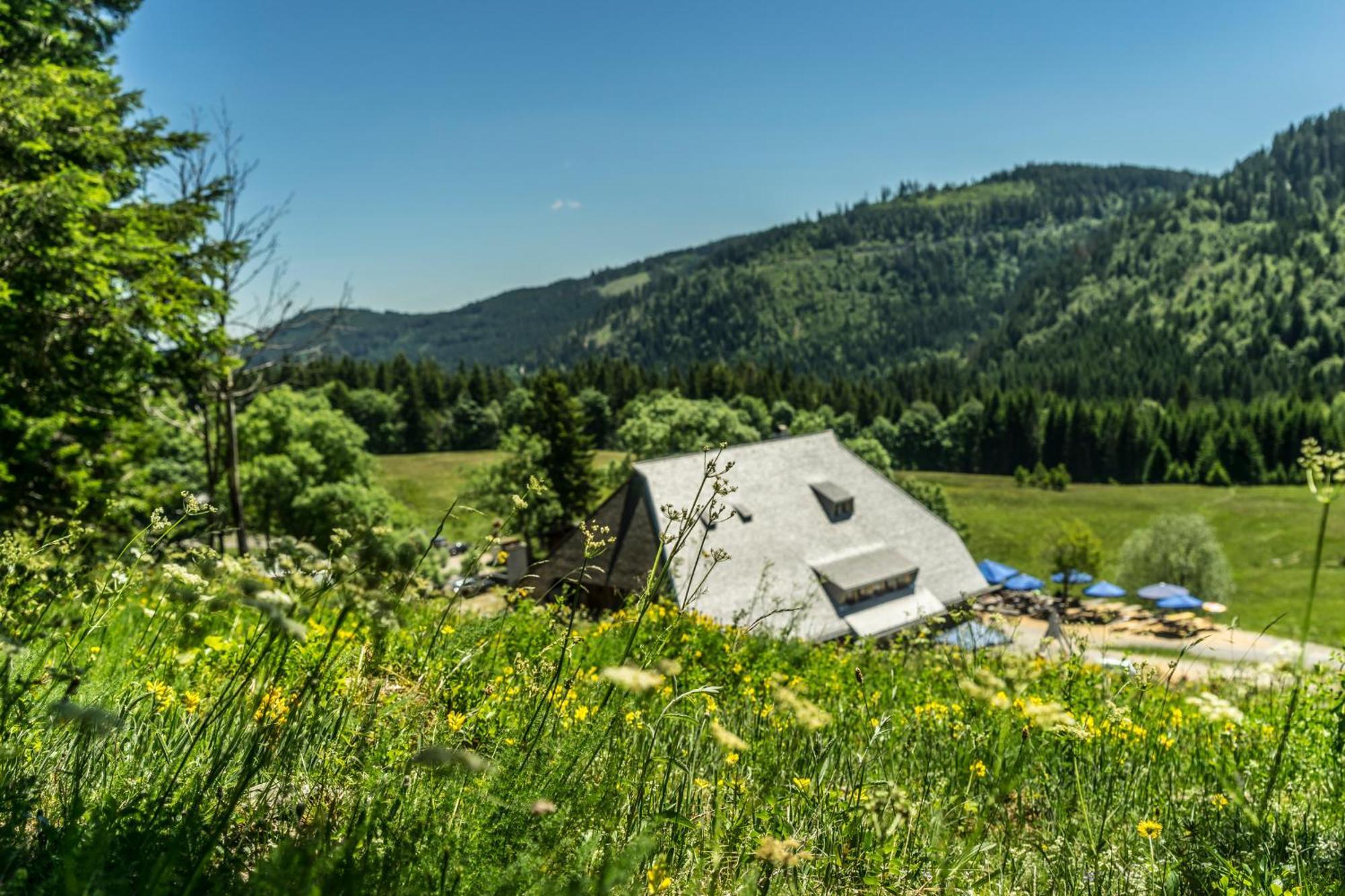 Drei Tannen - Wohnung 07 - Apartmenthaus, Titisee, Feldberg Dış mekan fotoğraf
